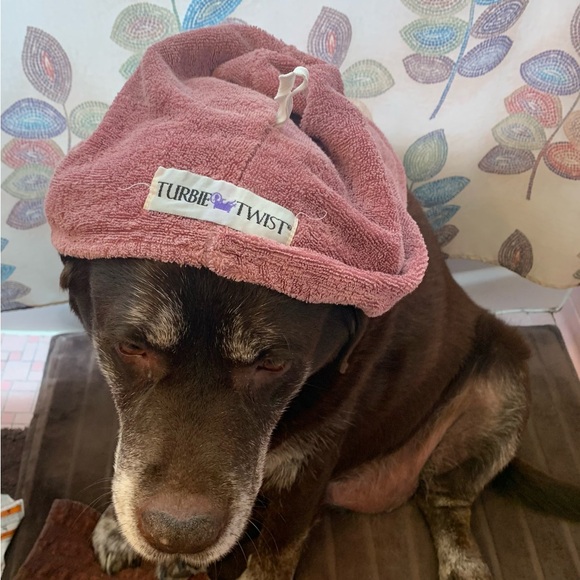 Meet your Posher, Angela - Picture 15 of 16